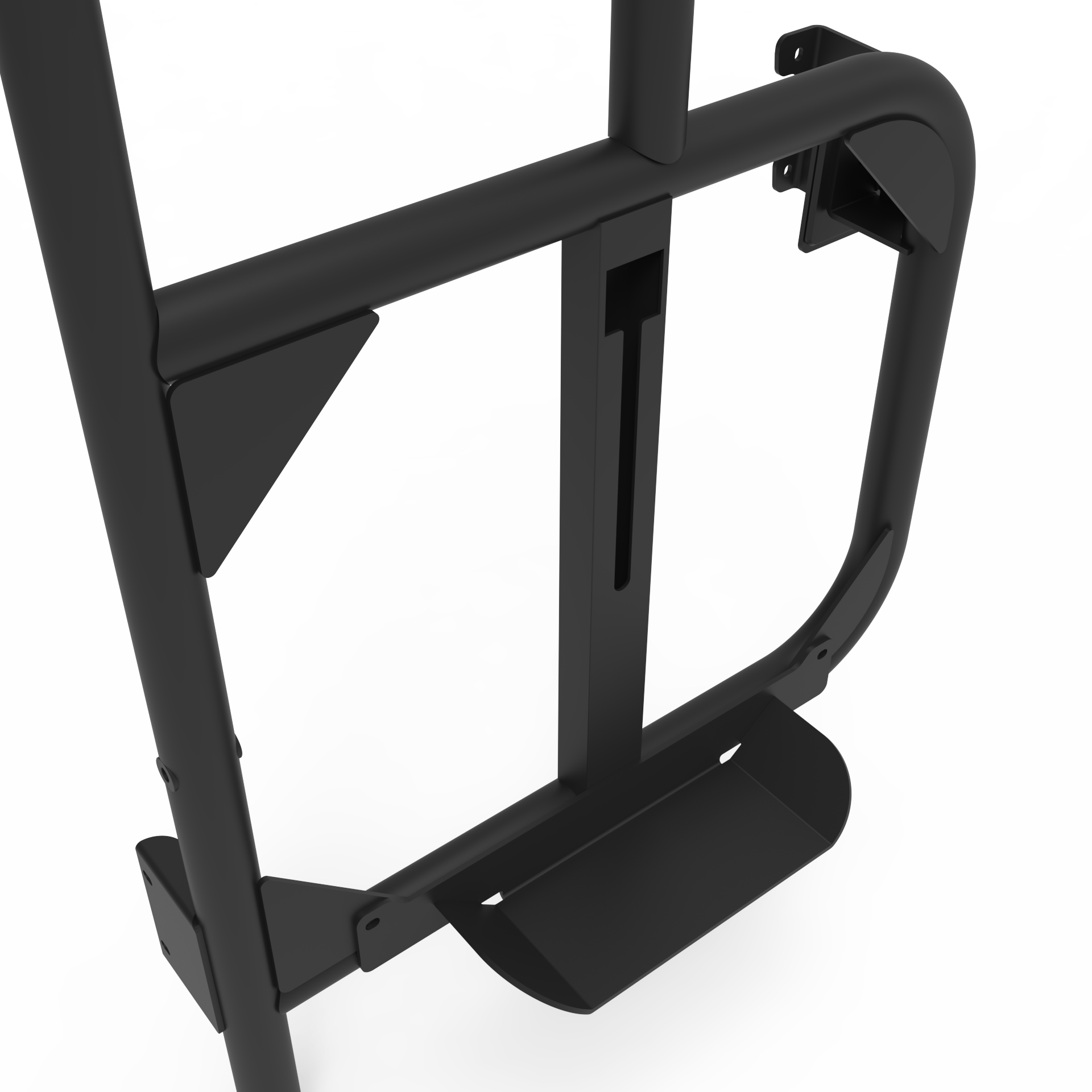 Tire Carrier & Ladder Combo for Ducato